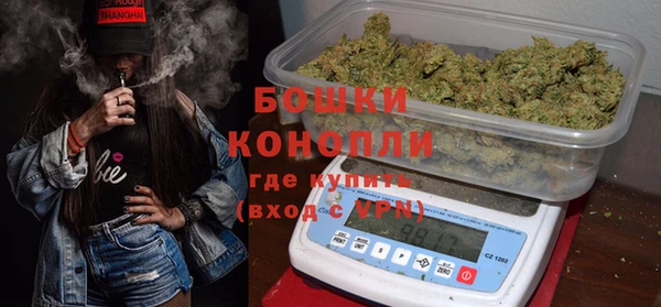 spice Ельня