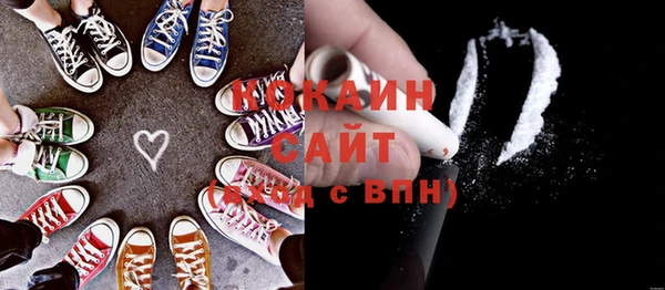 spice Ельня
