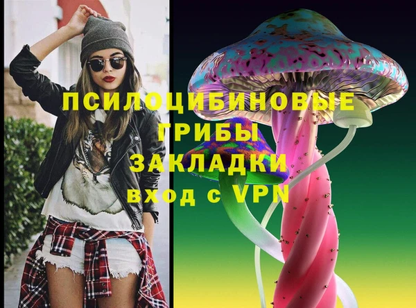 не бодяженный Елабуга