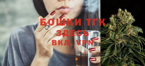 spice Ельня
