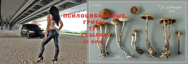 спайс Дмитровск
